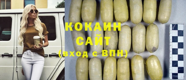 дживик Лагань