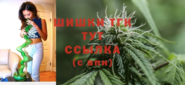 apvp Аркадак